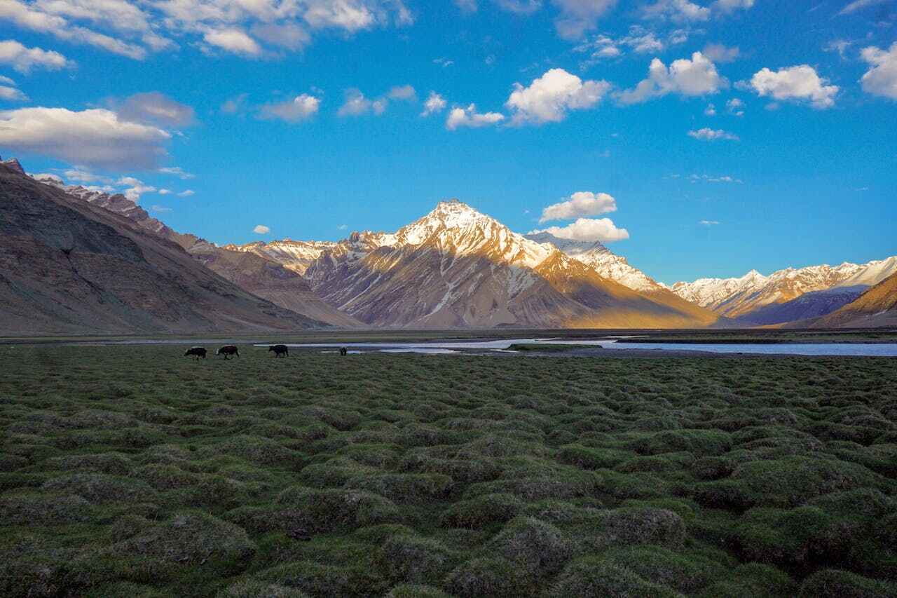 Report Indicates Detrimental Impact of China's Lithium Boom on Vulnerable Tibetan Plateau